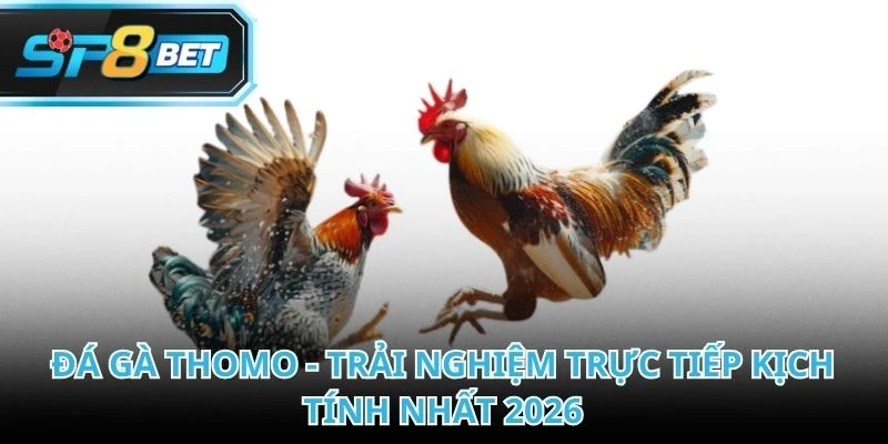 Đá Gà Thomo