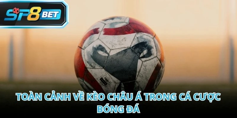 Mẹo kèo châu Á là chìa khóa để chơi cá cược bóng đá hiệu quả hơn